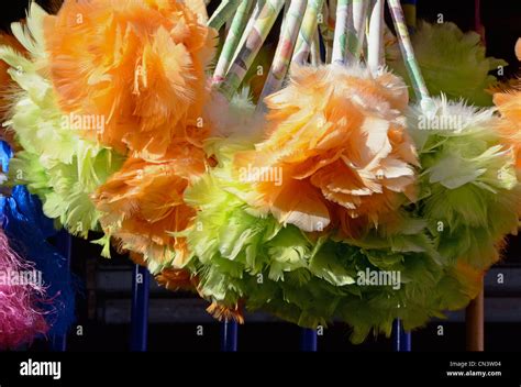  Eunice: A Curious Case of the Brightly Colored Feather Duster