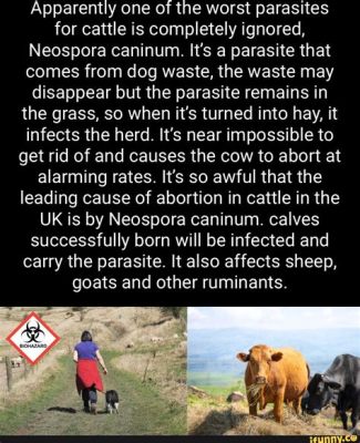  Neospora - A Tiny Parasite That Can Cause Big Problems for Cattle Farmers!